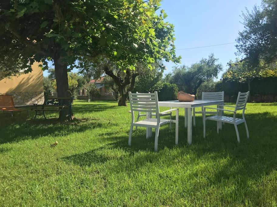 Apartment Vasiliki's House , 27054 , Ilias