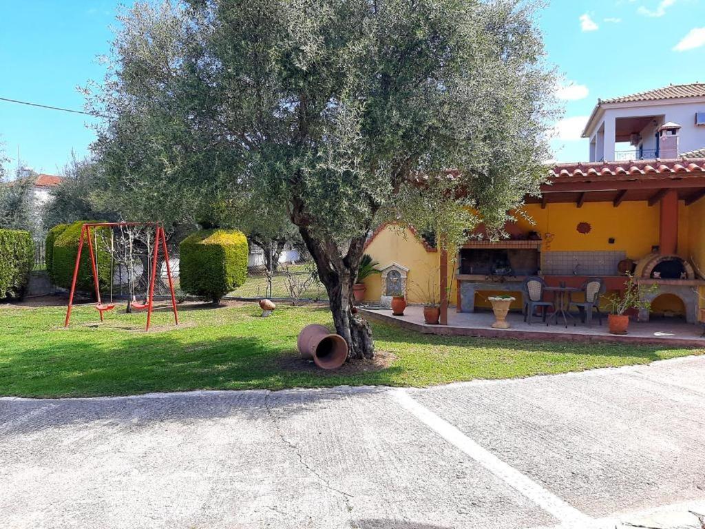Apartment Vasiliki's House , 27054 , Ilias