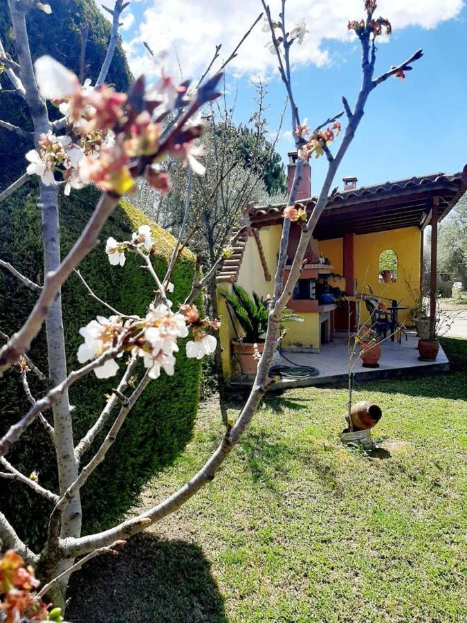 Apartment Vasiliki's House , 27054 , Ilias Zacharo